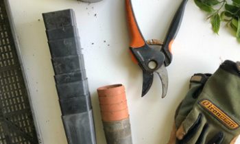 Impresa di pulizia professionale Servizio di giardinaggio condominiale a Padova | Lapulitecnica.com