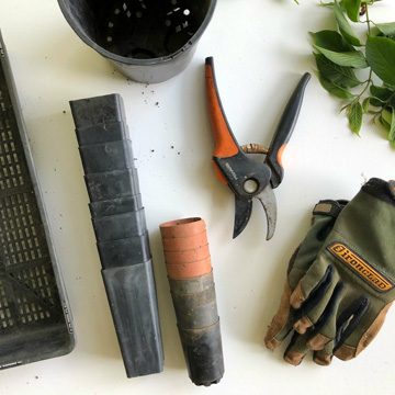 Impresa di pulizia professionale Servizio di giardinaggio condominiale a Padova | Lapulitecnica.com